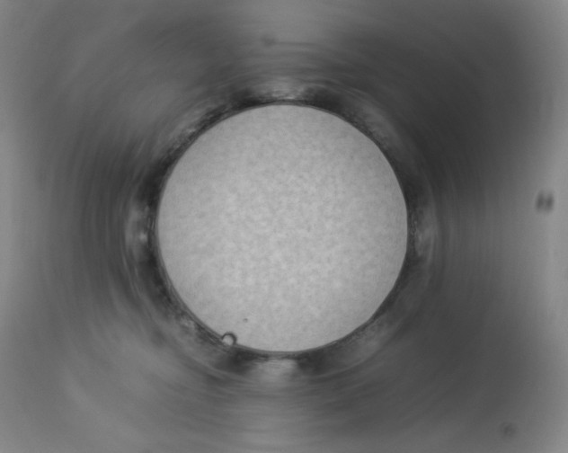 X0000112850374200909111451