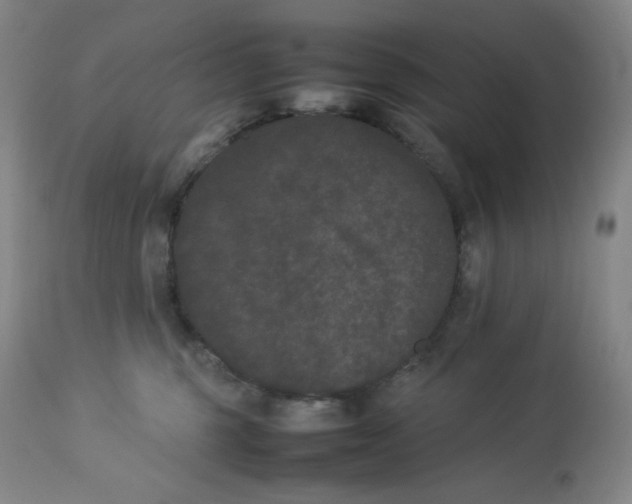 X0000112850375200909111451