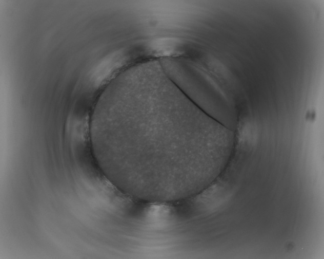 X0000112850376200909111451