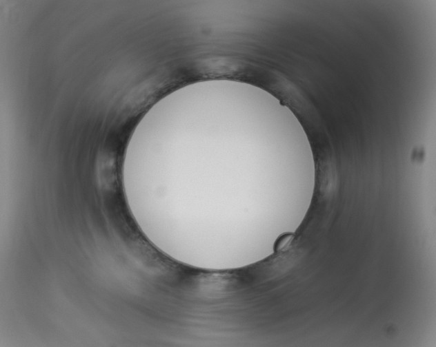 X0000112850378200909111451