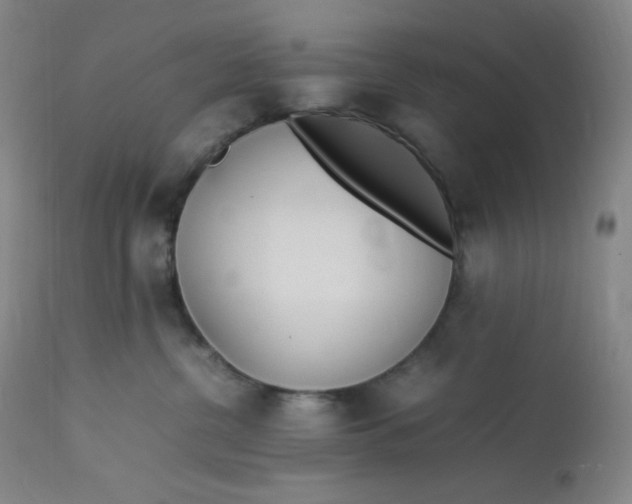 X0000112850380200909111451