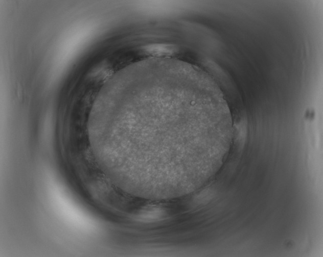 X0000112850381200909111451