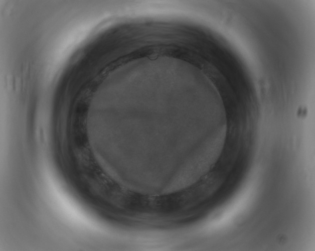 X0000112850383200909111451