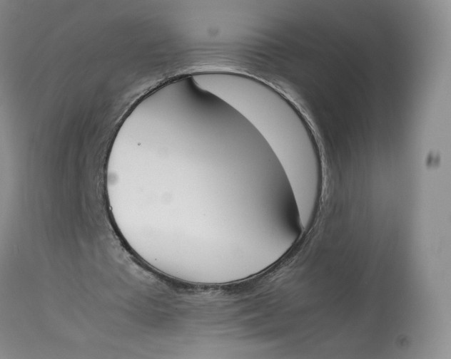 X0000112850385200909111450