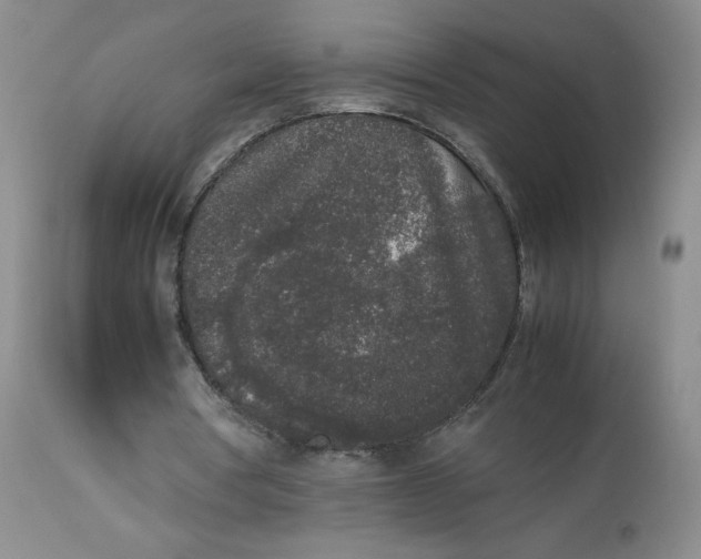 X0000112850386200909111450