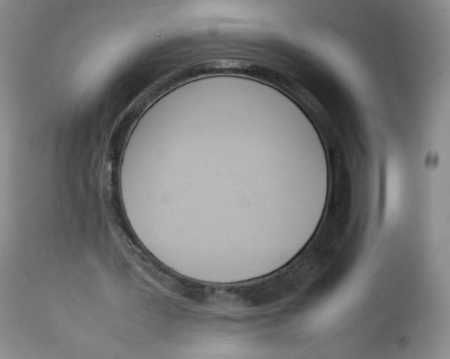 X0000112850387200909111450