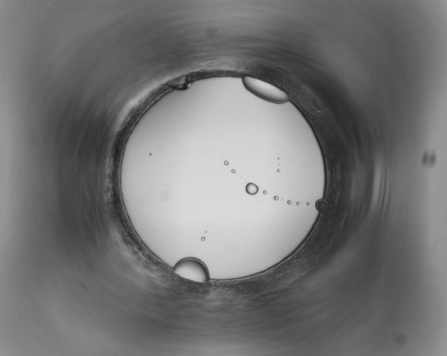 X0000112850388200909111450