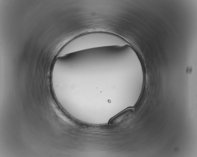 X0000112850389200909111450