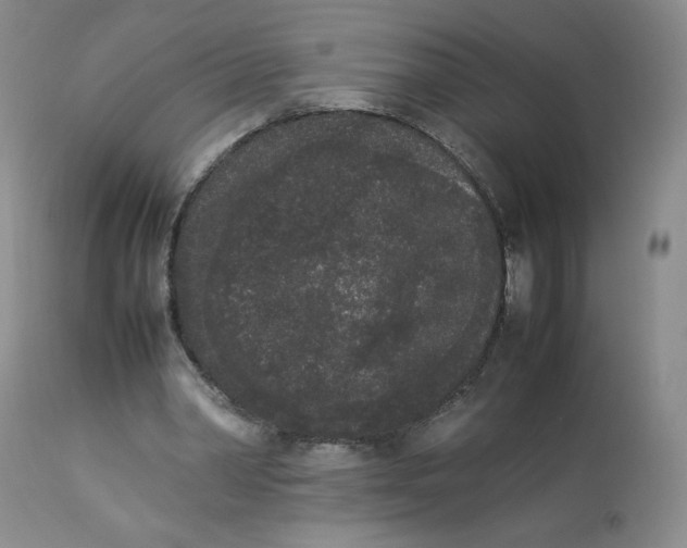 X0000112850390200909111450