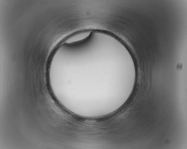 X0000112850391200909111450