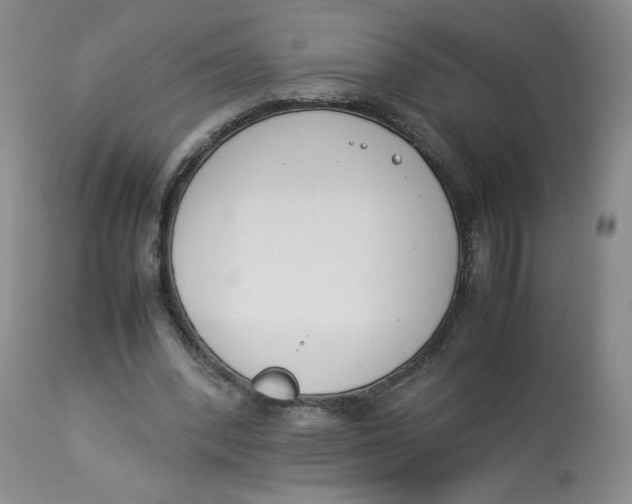 X0000112850392200909111450