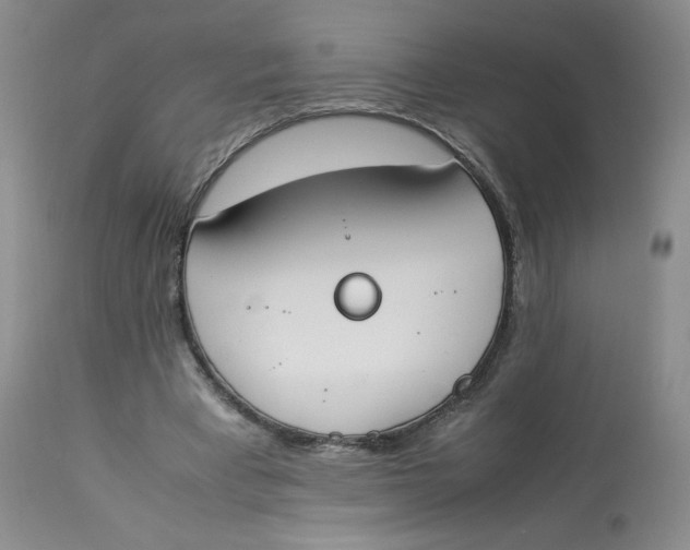 X0000112850393200909111450