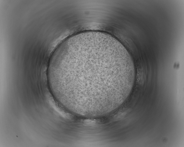 X0000112850394200909111450