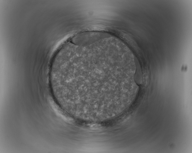 X0000112850395200909111450