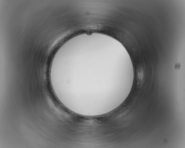 X0000112850396200909111450