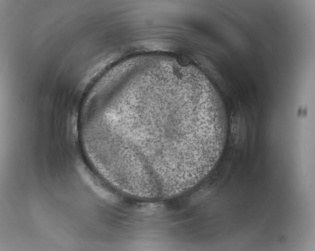 X0000112850398200909111450