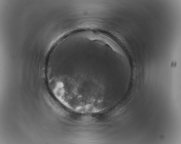 X0000112850399200909111450