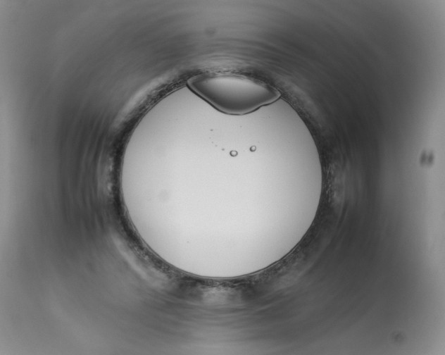 X0000112850400200909111450