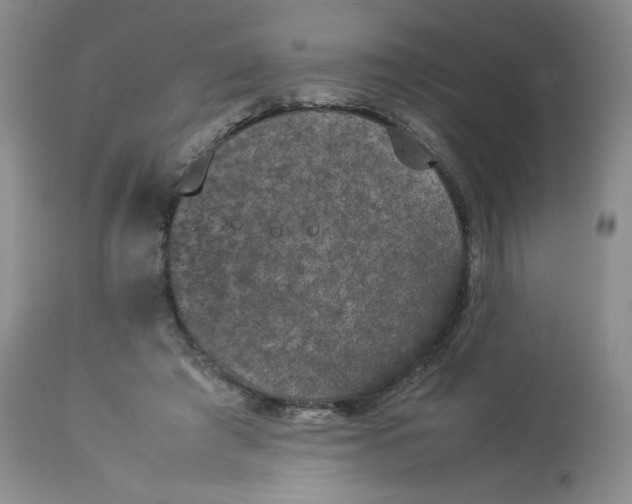 X0000112850401200909111450