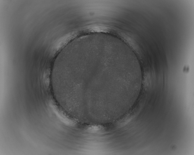 X0000112850402200909111450