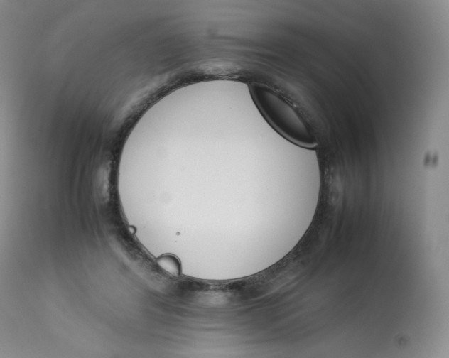 X0000112850404200909111450