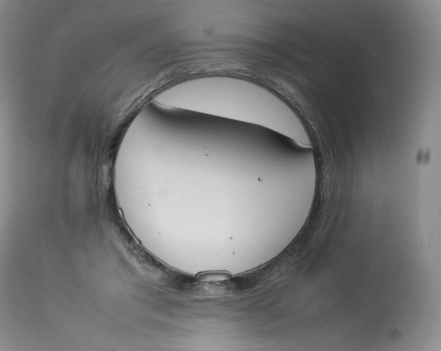 X0000112850405200909111450