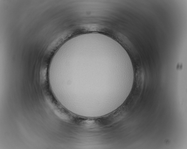 X0000112850406200909111450