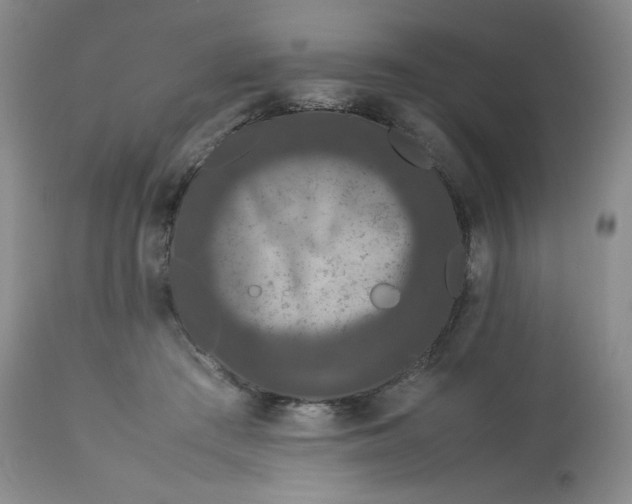 X0000112850409200909111450