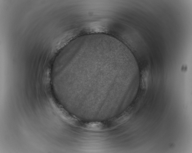 X0000112850410200909111450