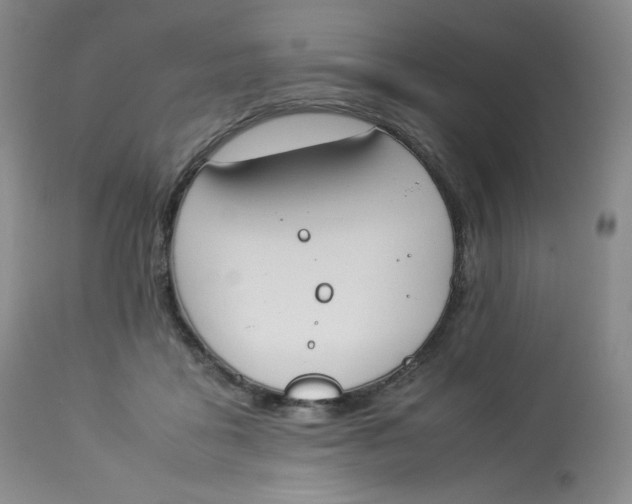 X0000112850411200909111450