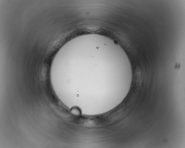 X0000112850412200909111450