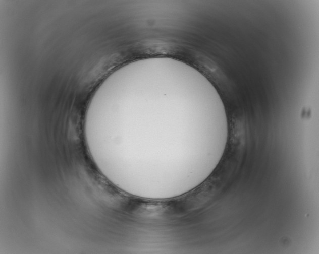 X0000112850414200909111450