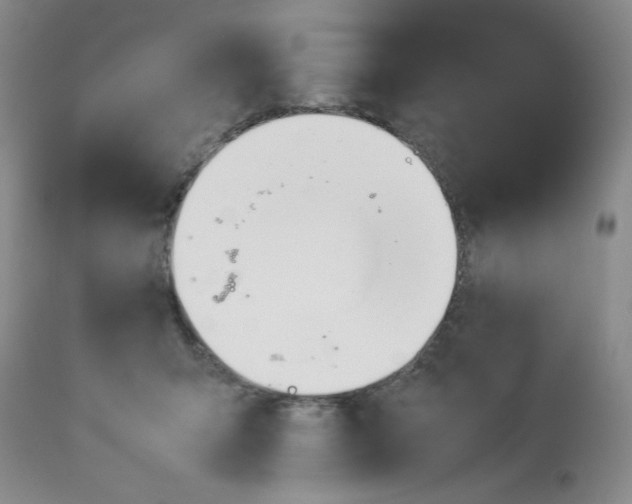 X0000112850415200909111450