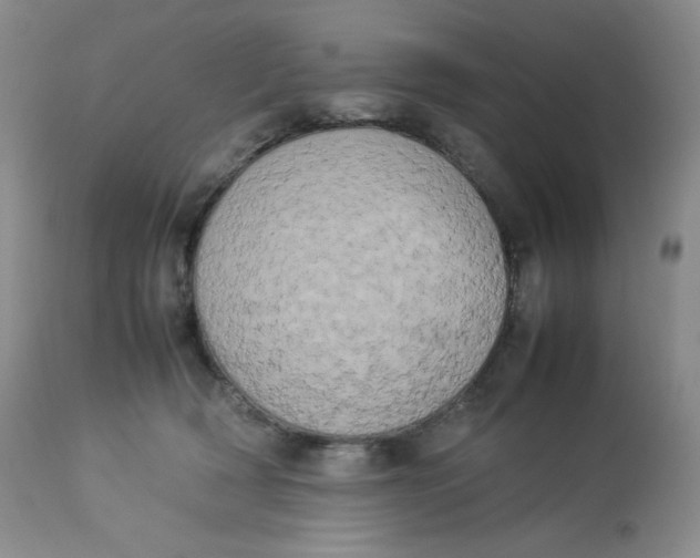 X0000112850418200909111450