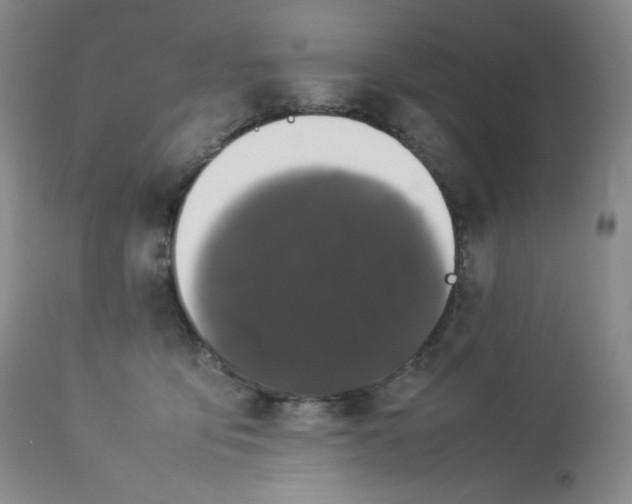 X0000112850419200909111450