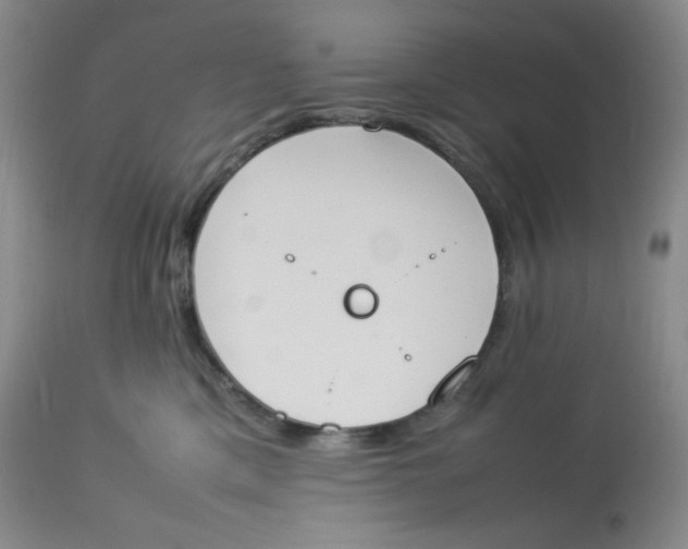 X0000112850425200909111450