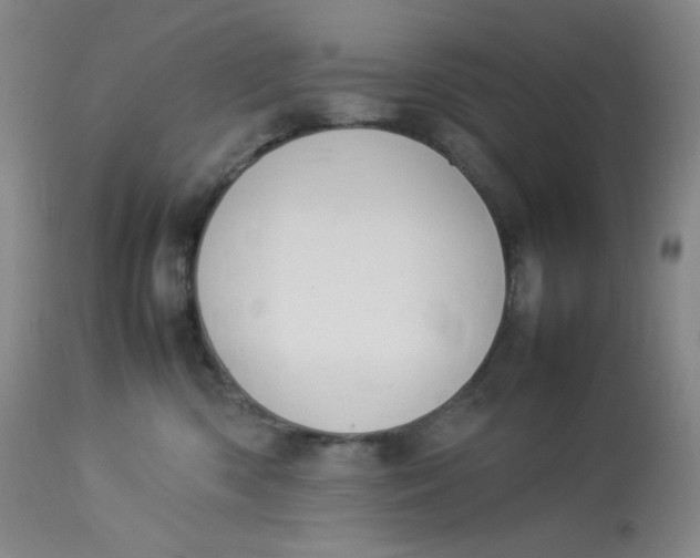 X0000112850426200909111450