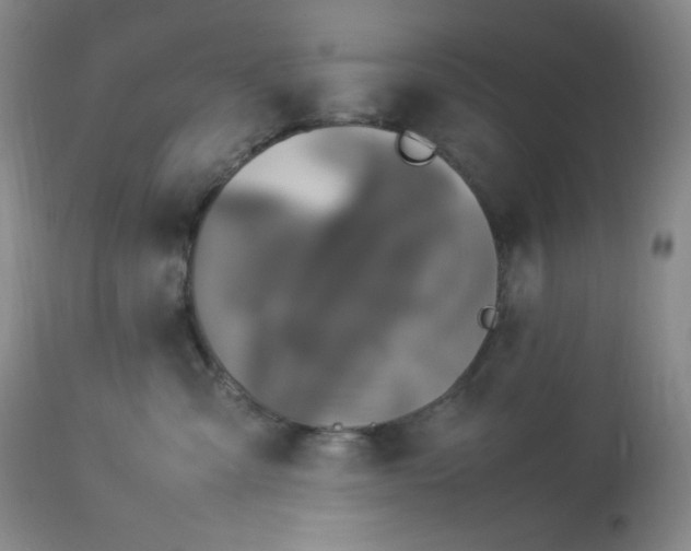 X0000112850427200909111450