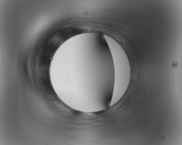 X0000112850429200909111450