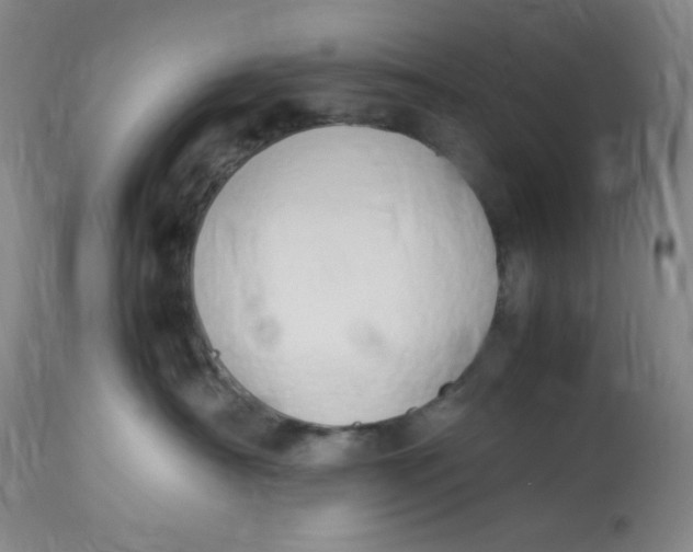 X0000112850430200909111450