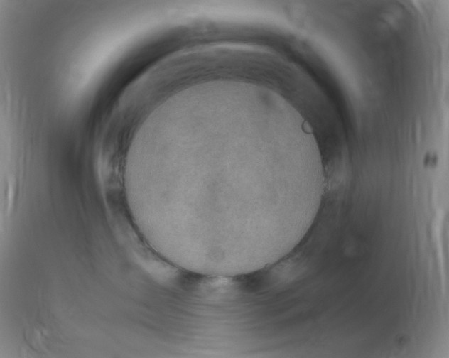 X0000112850431200909111450