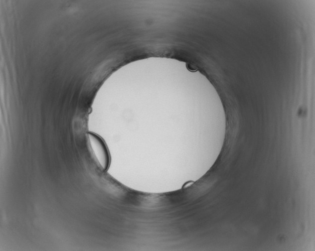 X0000112850432200909111450