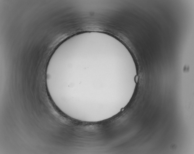 X0000112850433200909111449