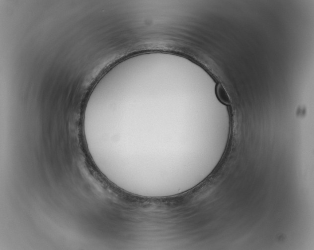 X0000112850434200909111449