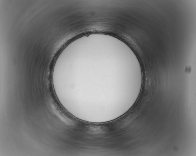 X0000112850439200909111449