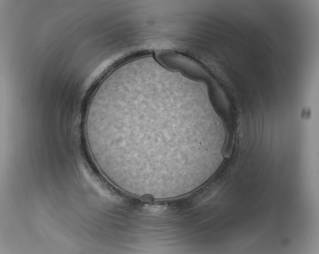 X0000112850440200909111449