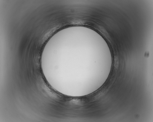 X0000112850441200909111449