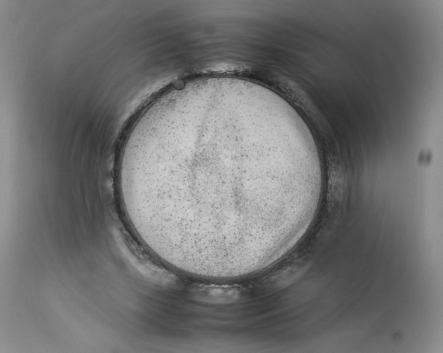 X0000112850443200909111449