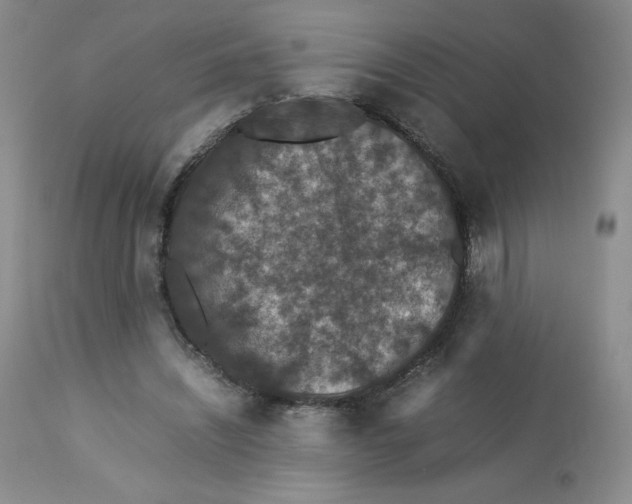 X0000112850444200909111449