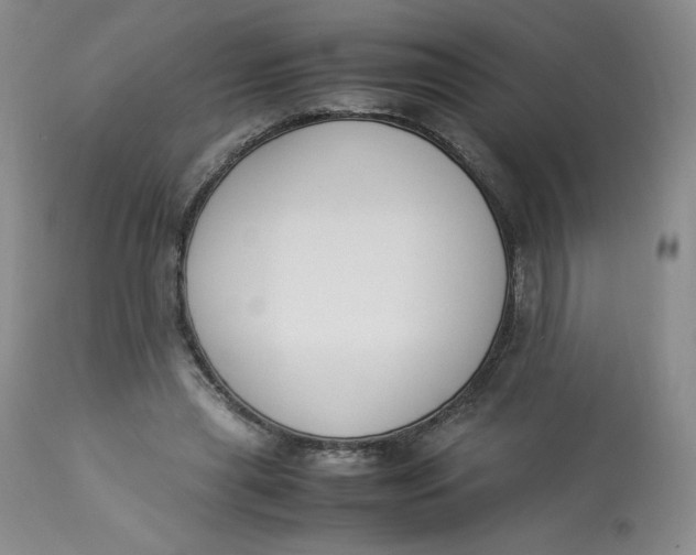 X0000112850445200909111449